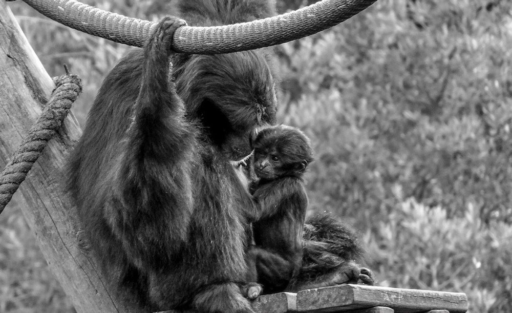 Photograph by Duda Dias