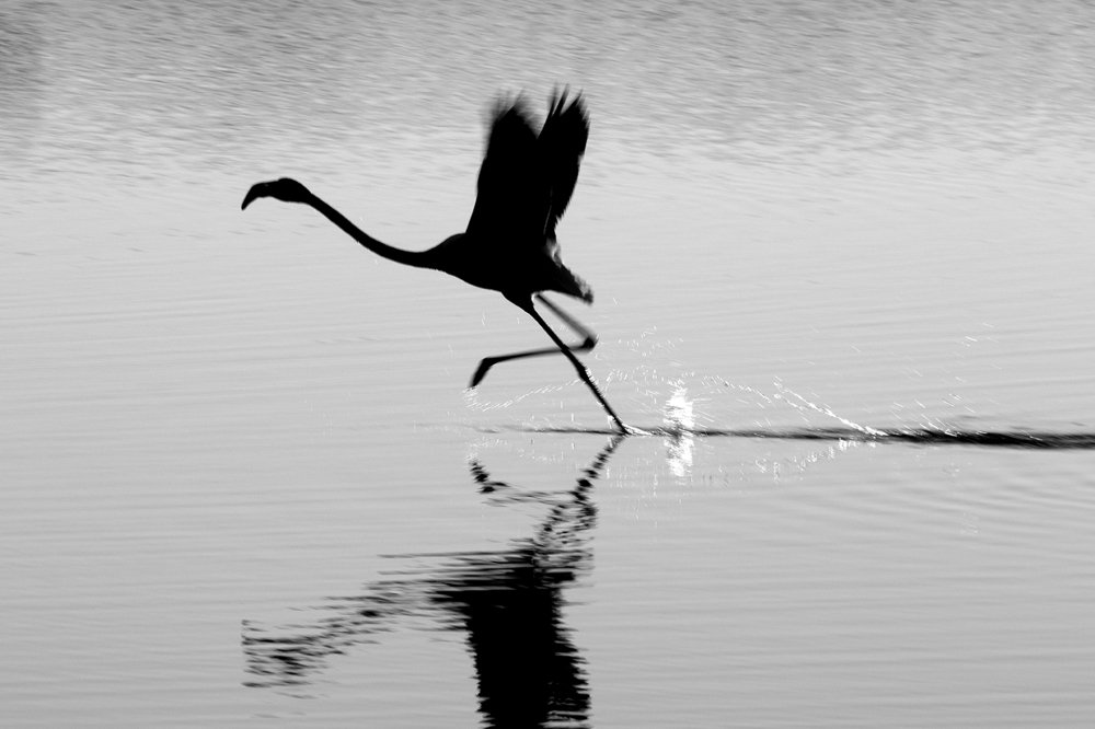 Фотография автора artnoise