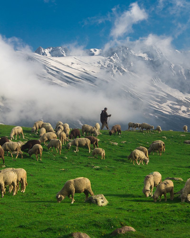 Photograph by Adnan Bhat