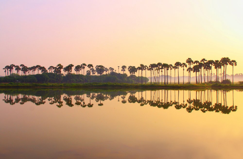 Photograph by Tilaxan Tilaxan