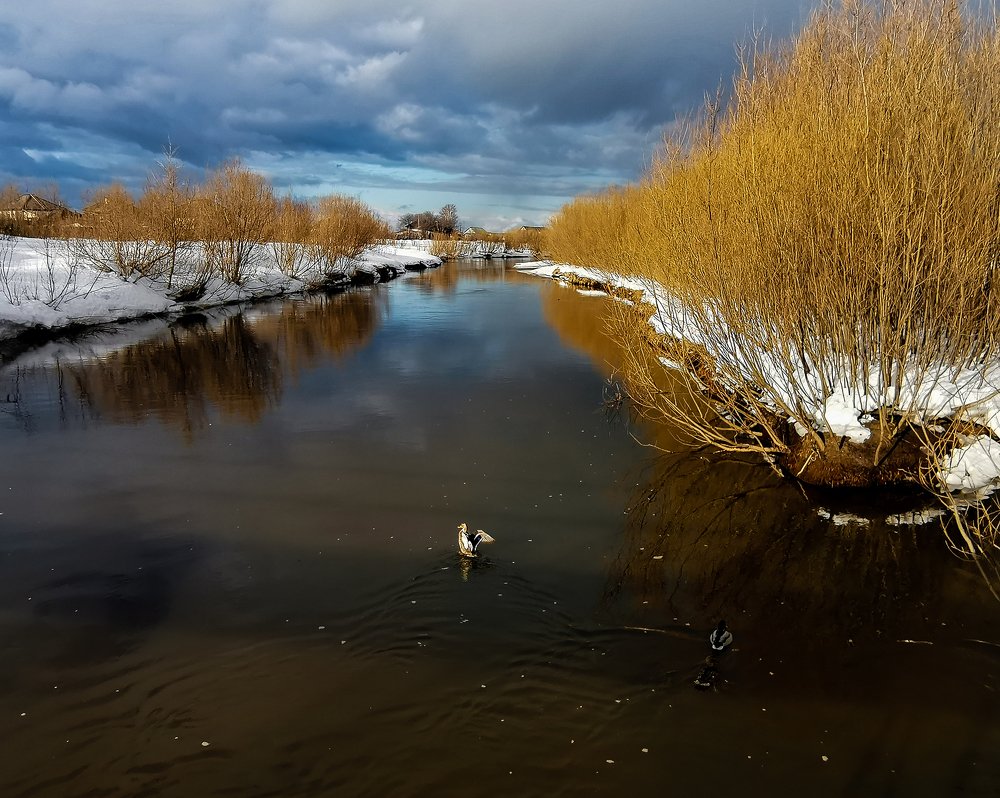 Photograph by Светлана Перминова