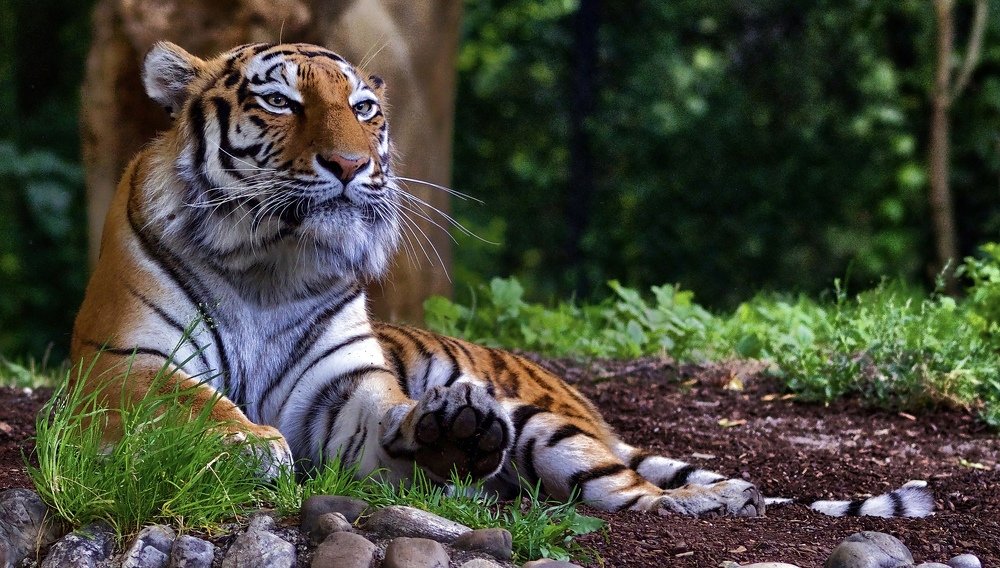 Photograph by advokatkijashko