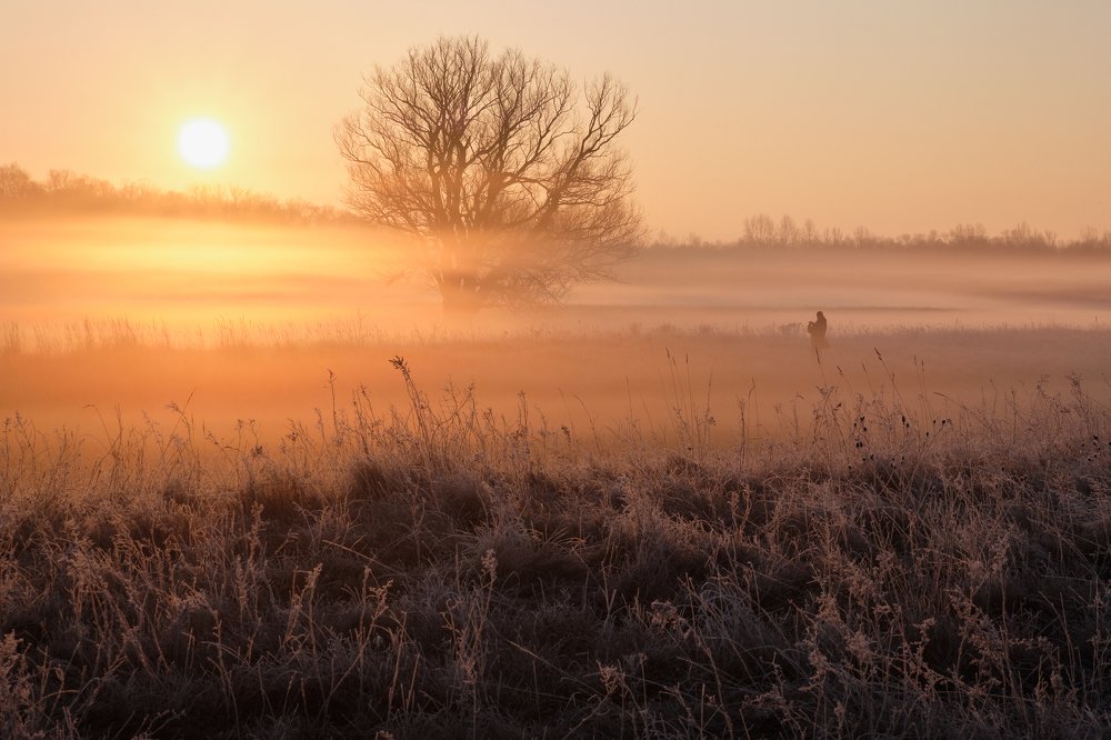 Photograph by Микола Мороз