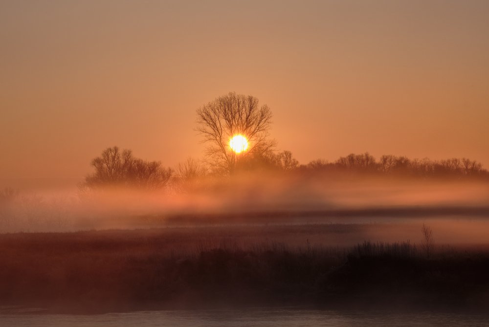 Photograph by Микола Мороз