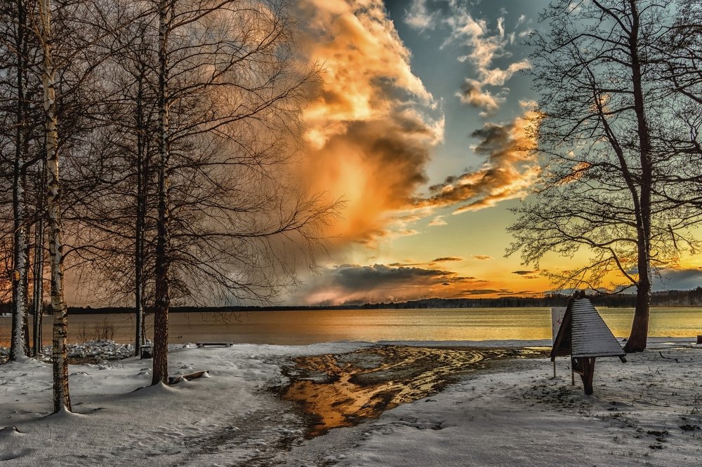 Photograph by Vitalijs