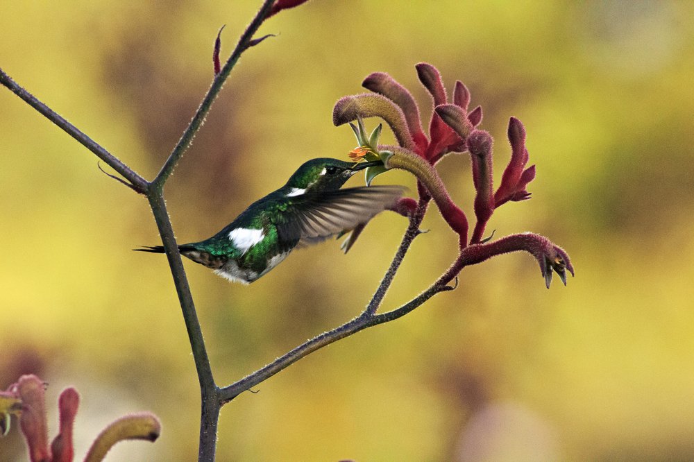 Photograph by yeferson