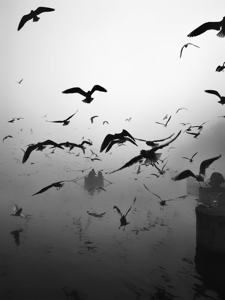 Photograph by Syed Danish