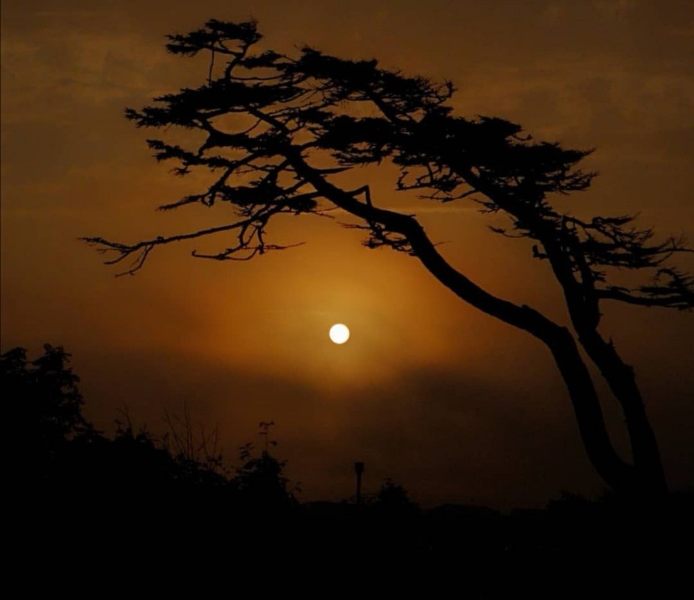 Photograph by Виолетта Беккер