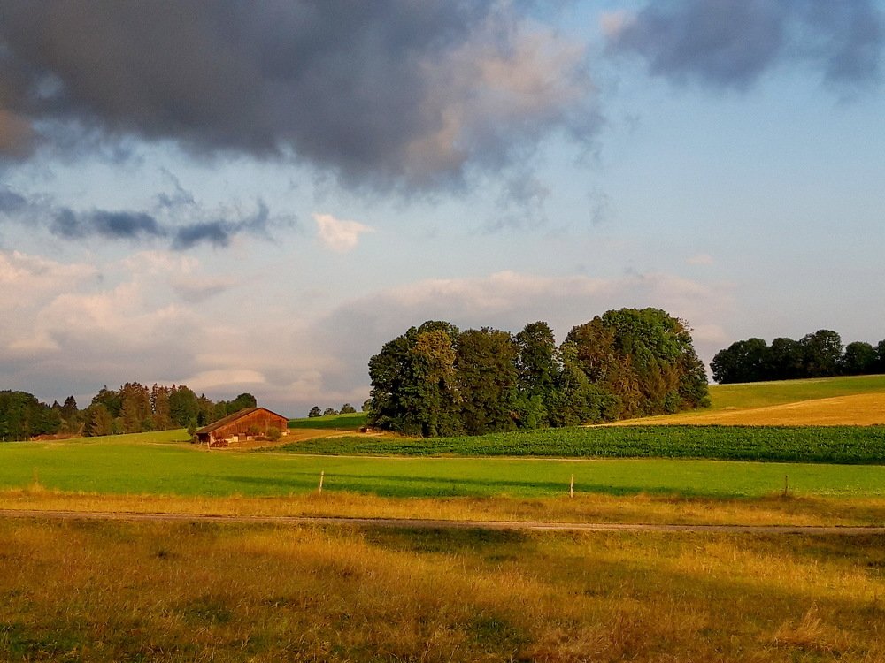 Photograph by Marzio Fattorini