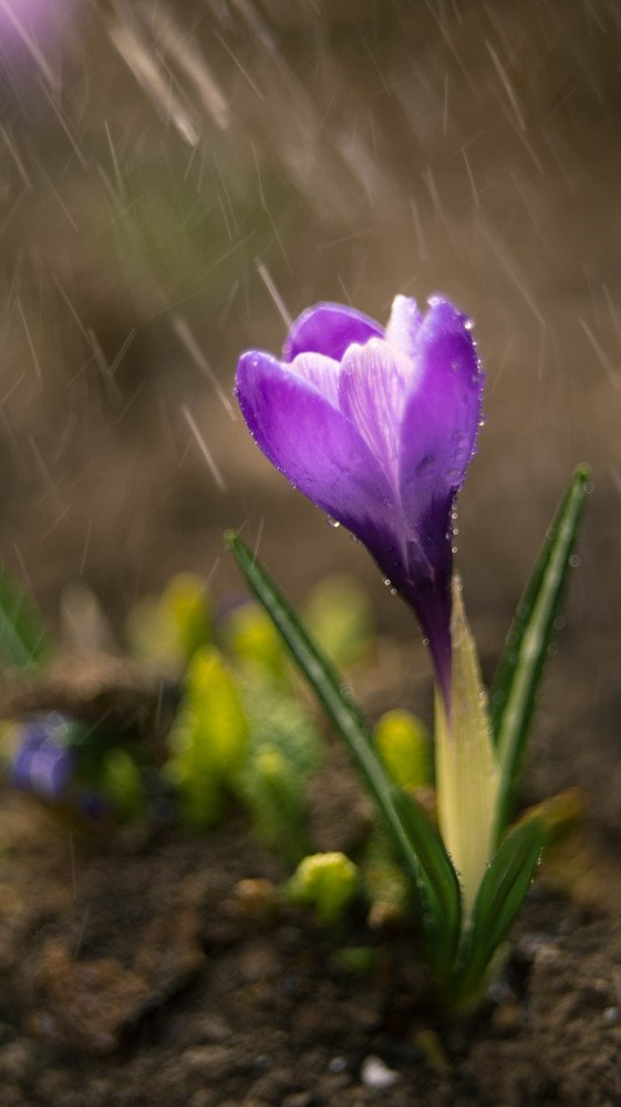 Photograph by Олеся