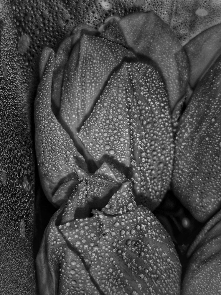 Photograph by Екатерина Ремез