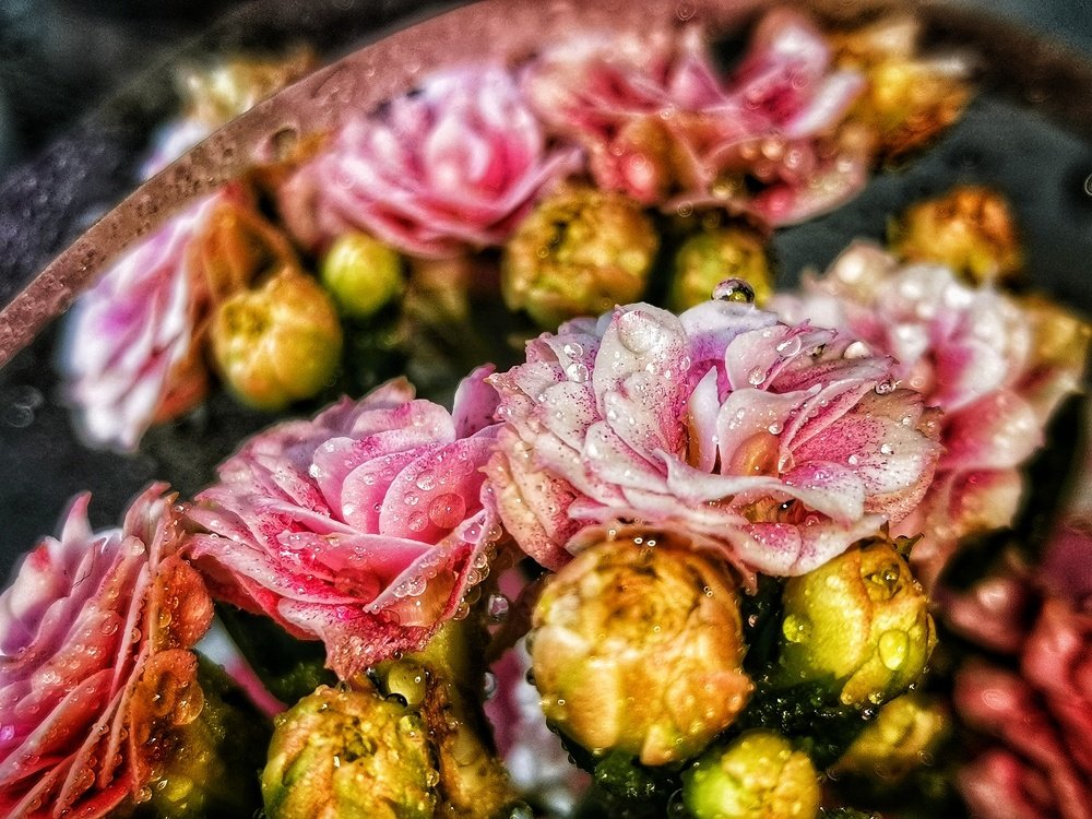 Photograph by Екатерина Ремез