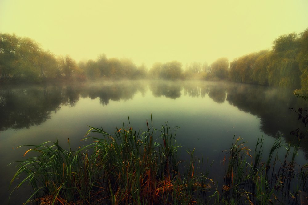 Photograph by Pavlo Lys