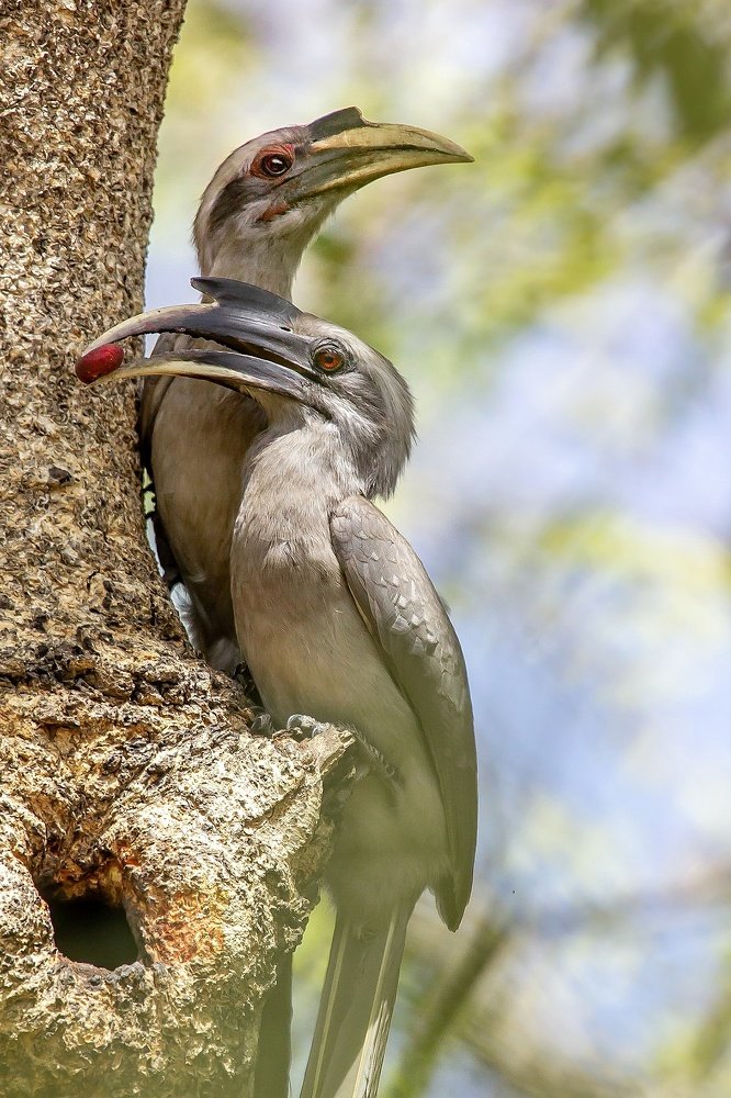 Photograph by Ravi Patel