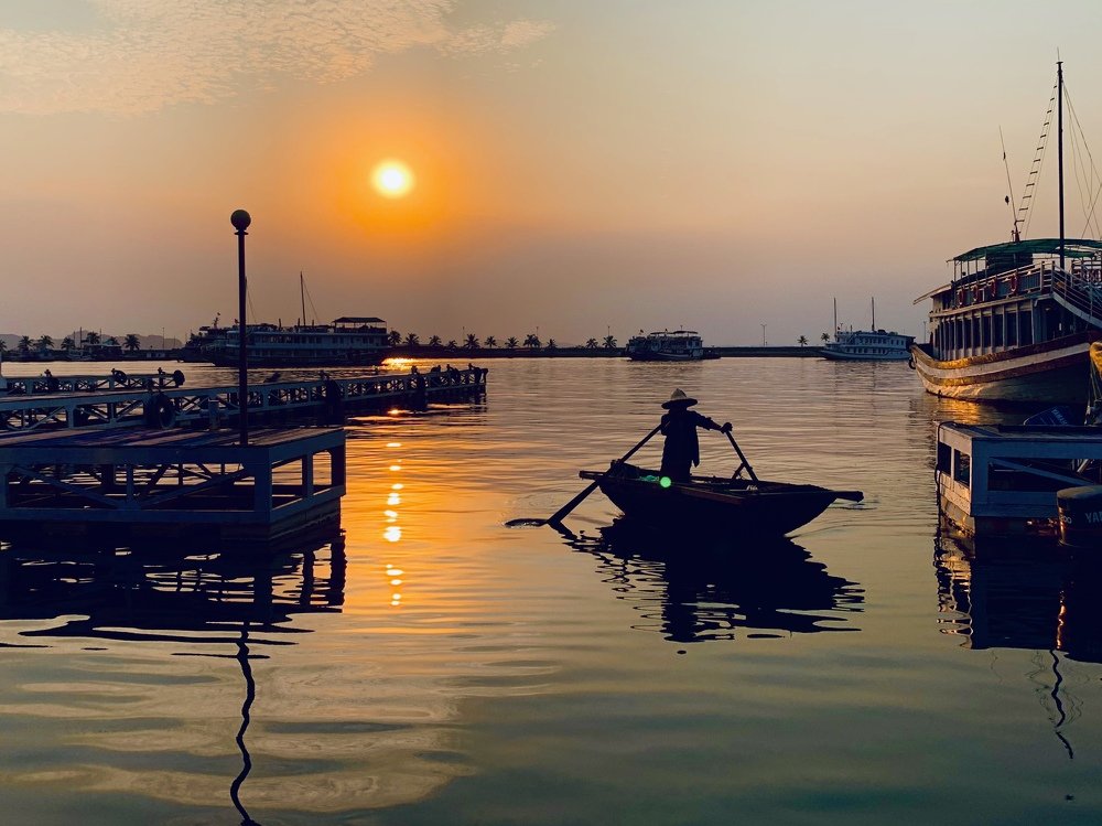 Photograph by Rose Le