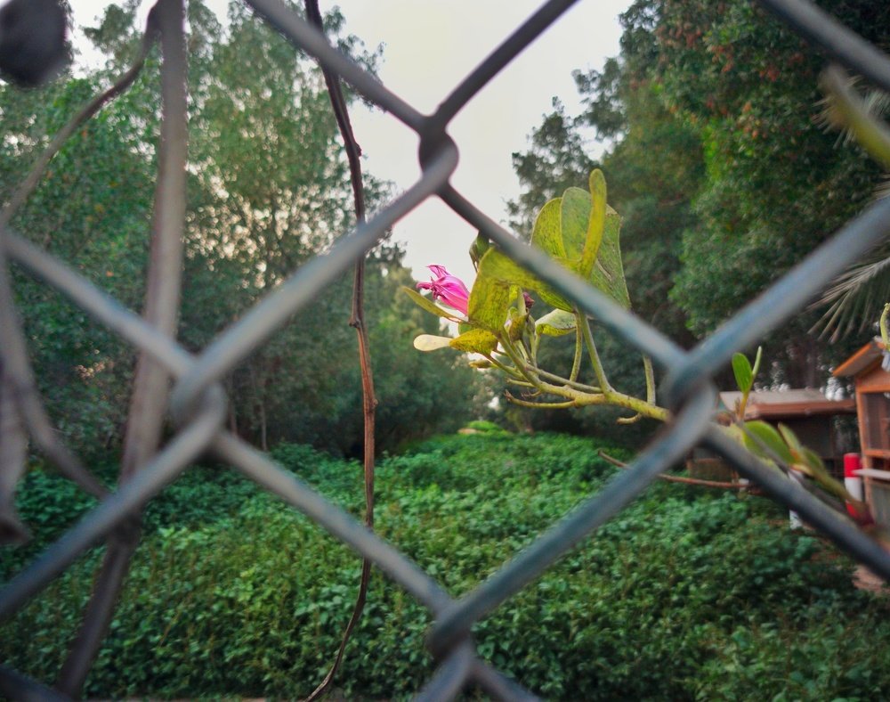 Photo #4482577