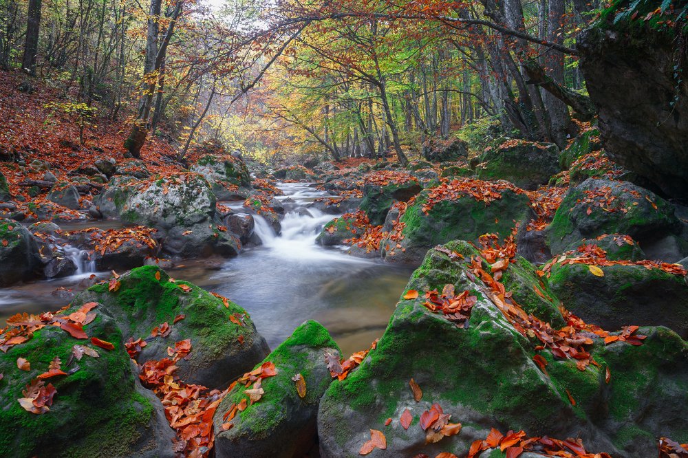 Photograph by Mihail