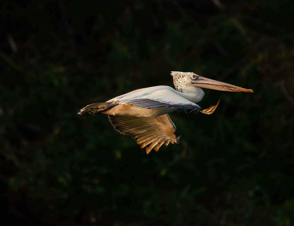 Flight into the cosmic occean