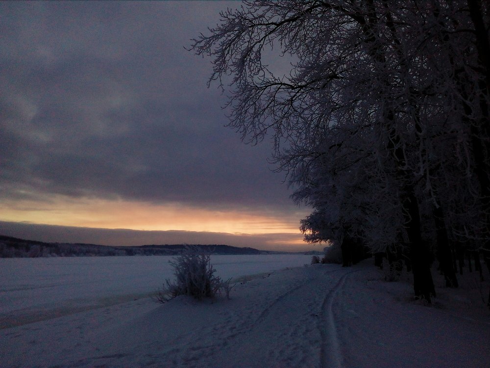 Photo #4482847