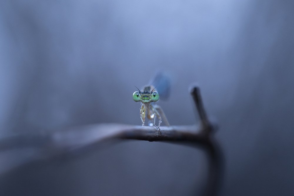 Photograph by Hemraj Chavhan A