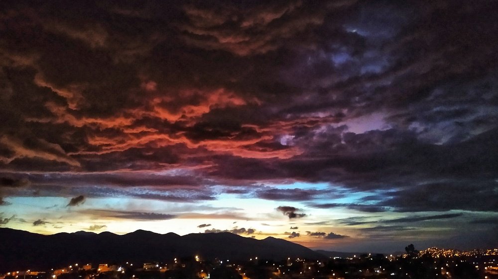 Photo #4482925