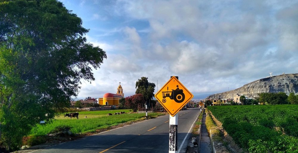 Photo #4482926