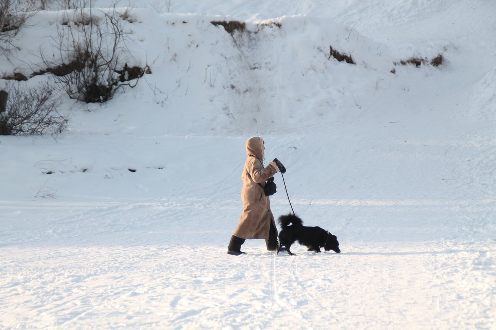 Photograph by Людмила Жданова