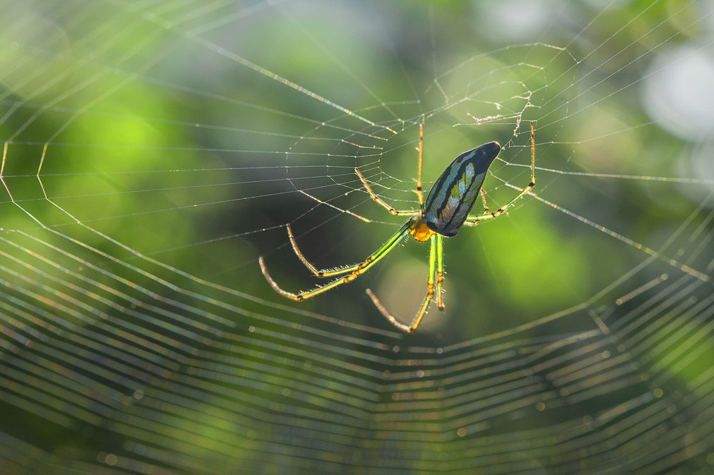 Photograph by Hemraj Chavhan A