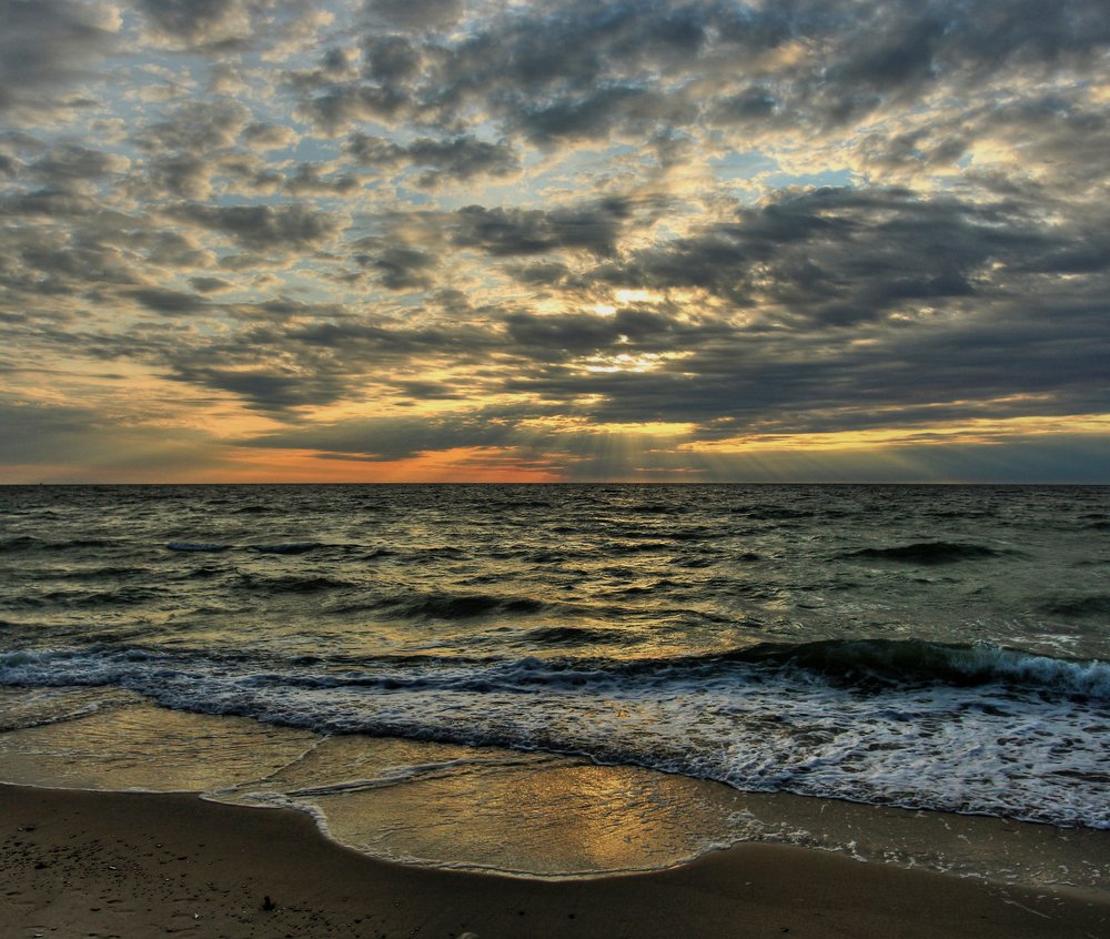 Photograph by 