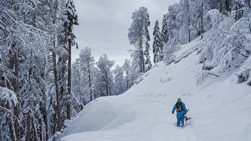 Фотография автора Владимир Эделев