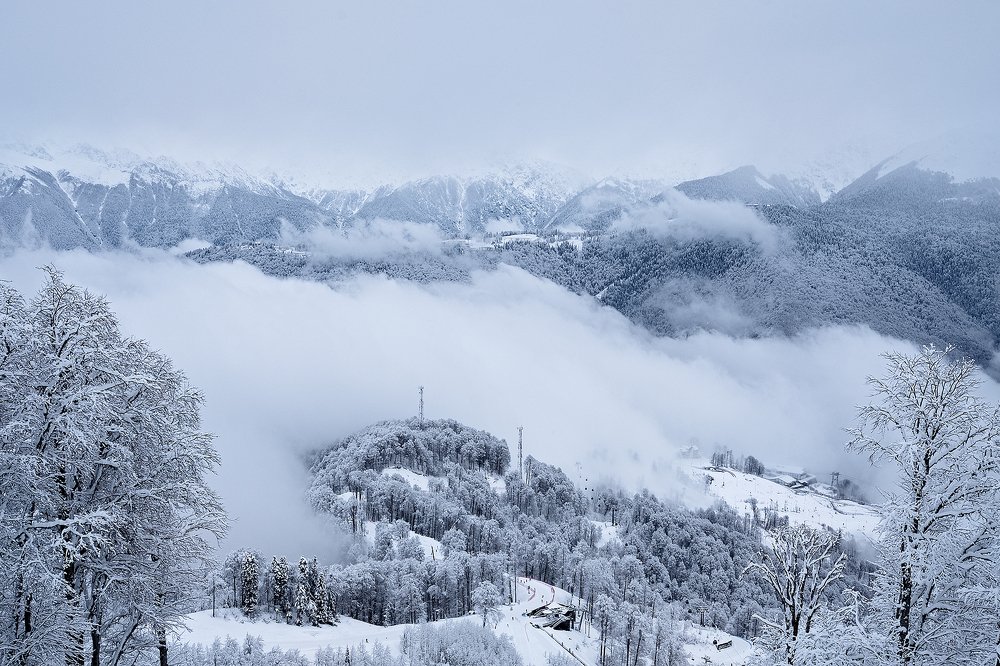 Фотография автора Владимир Эделев