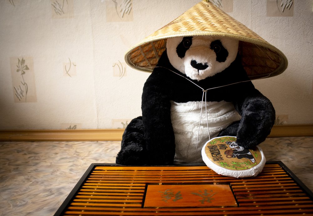 Бодрая панда