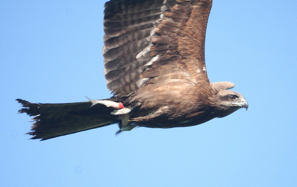 Photograph by Владилен Панченко