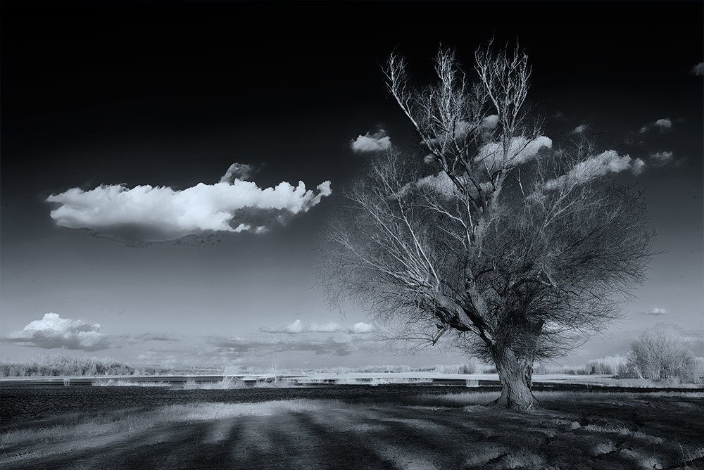 Фотография автора Игорь Баранов