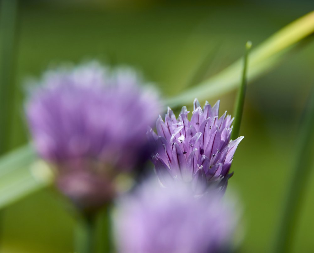 Photograph by Камиль Ахметшин