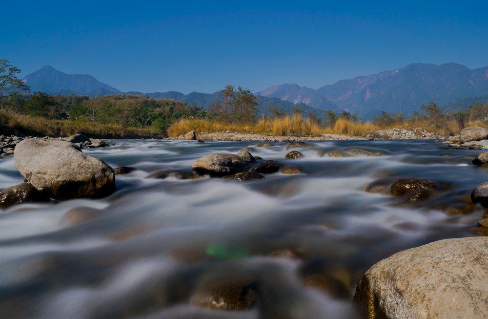 Photograph by Vivek Gogoi