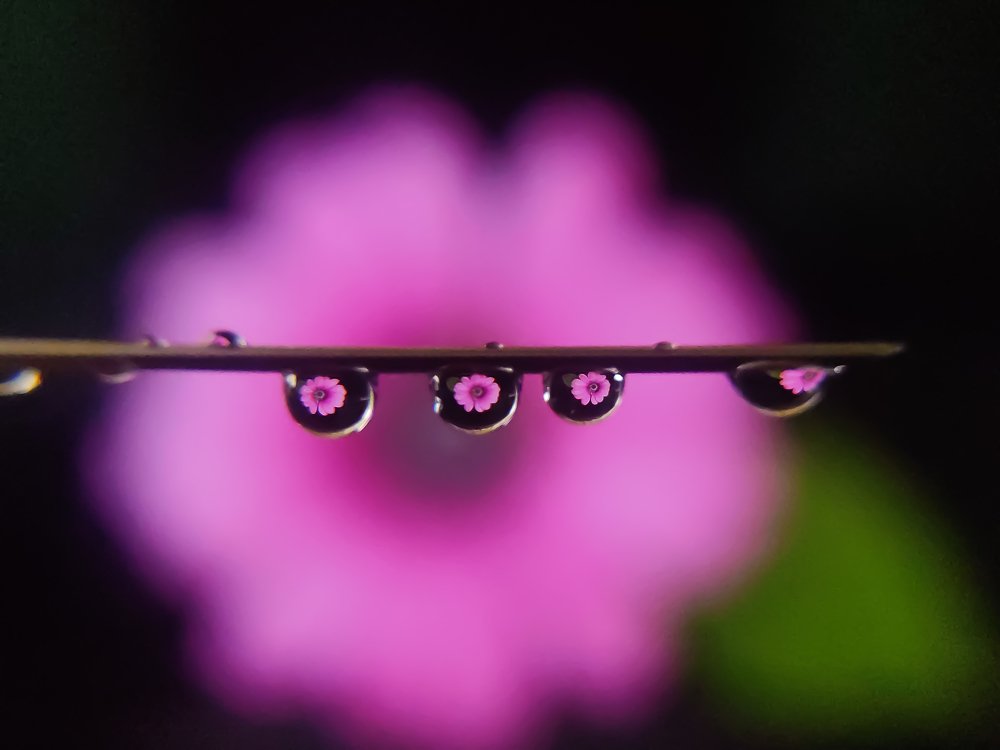 Photograph by Nawaz Shumon