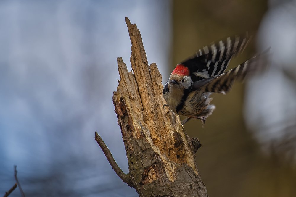 Photograph by Кунин Илья