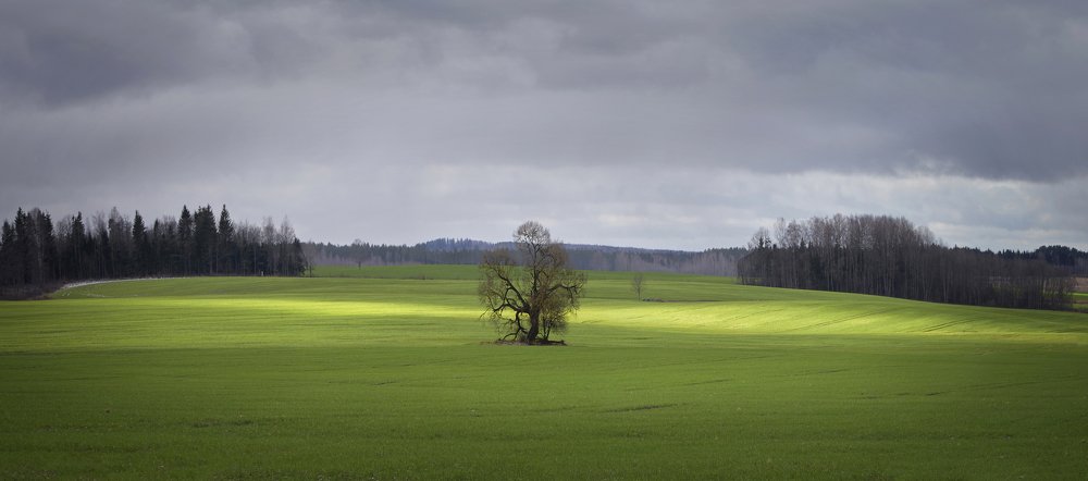 Зелёная осень
