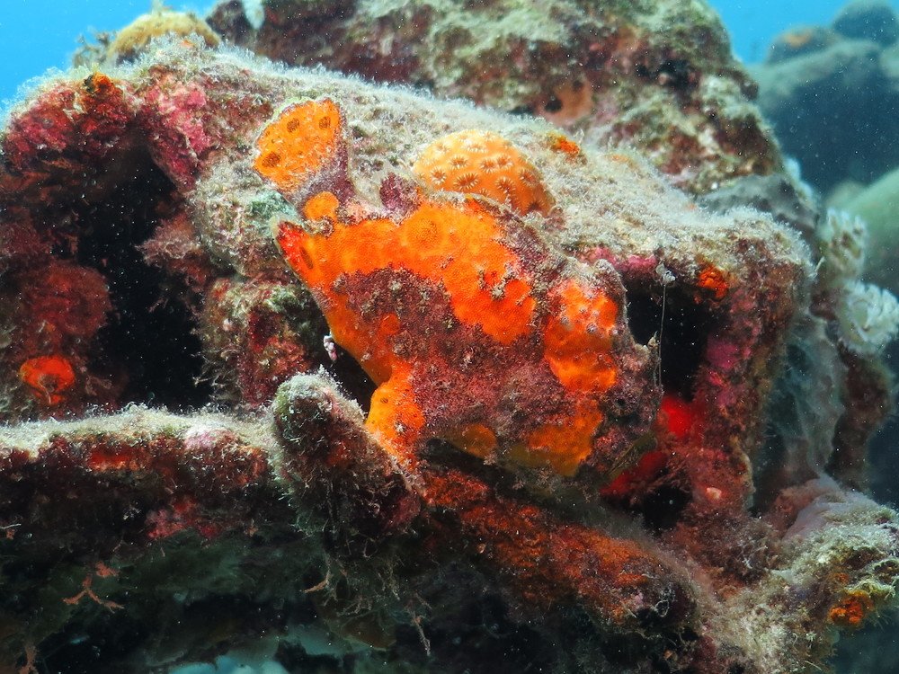 Photograph by Julian Binder