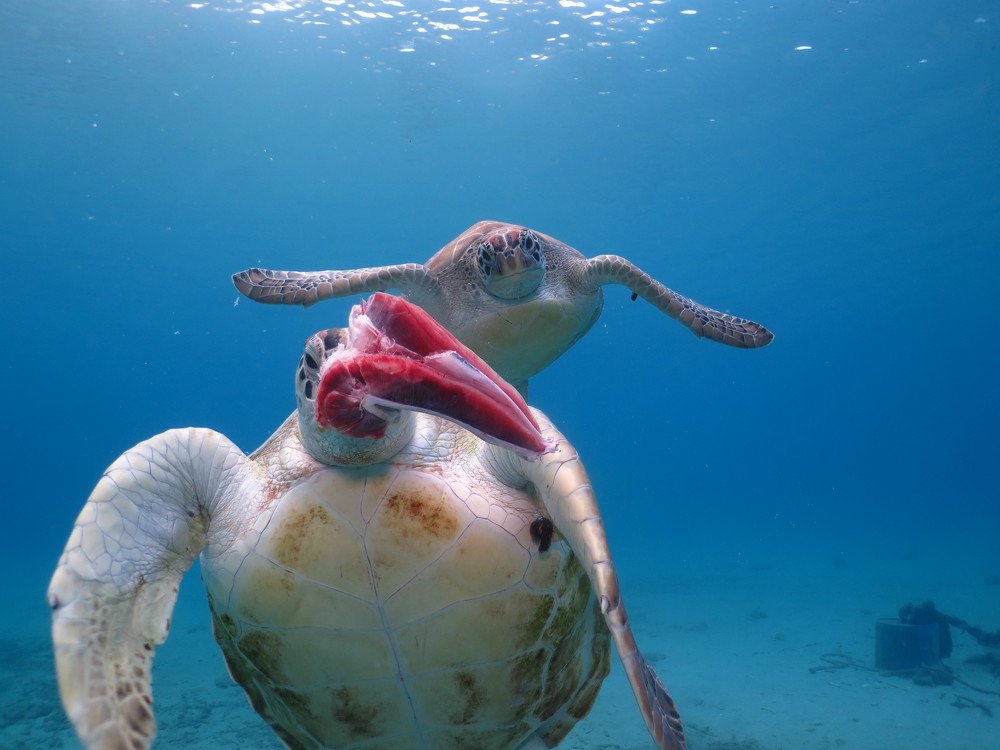 Photograph by Julian Binder