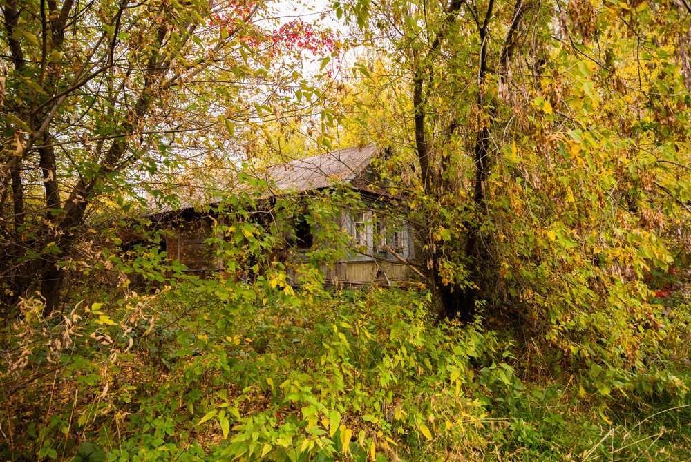 Родные места