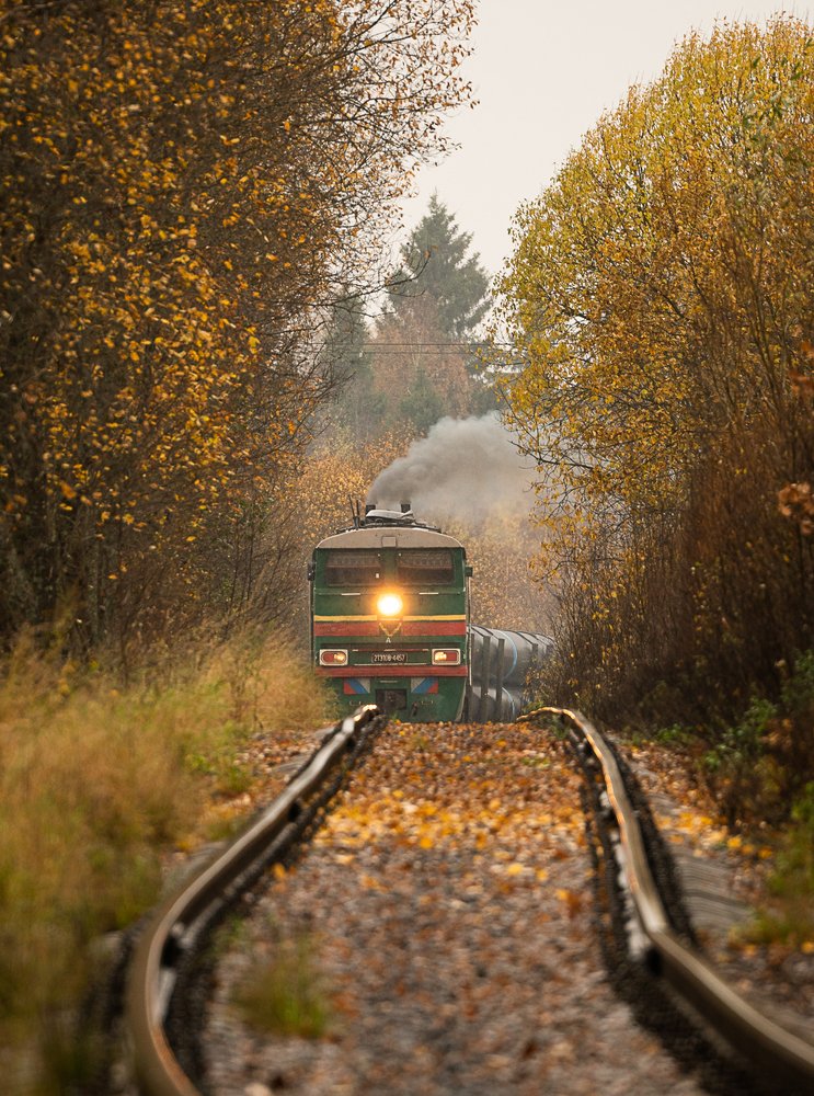 Photograph by Елена