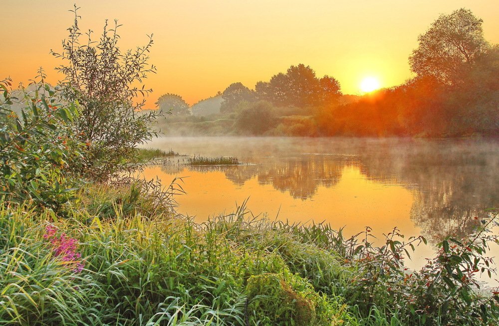 Утреннее золото природы