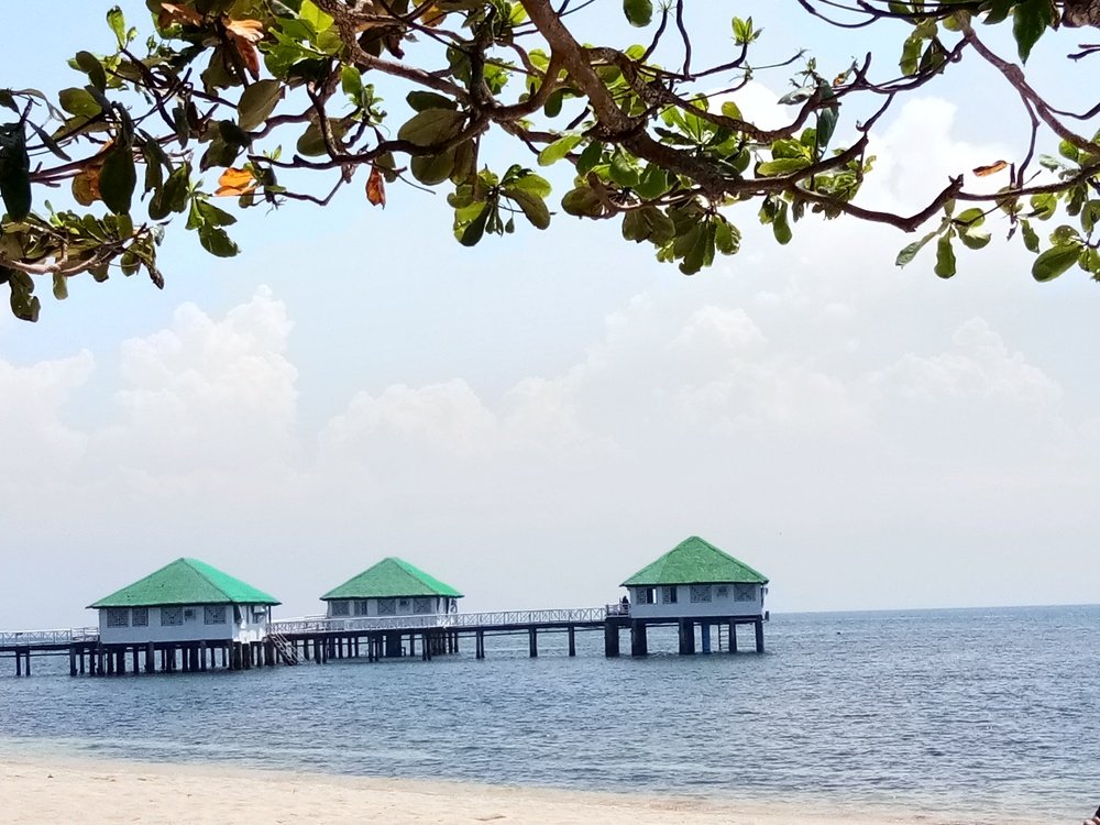 Vitamin Sea