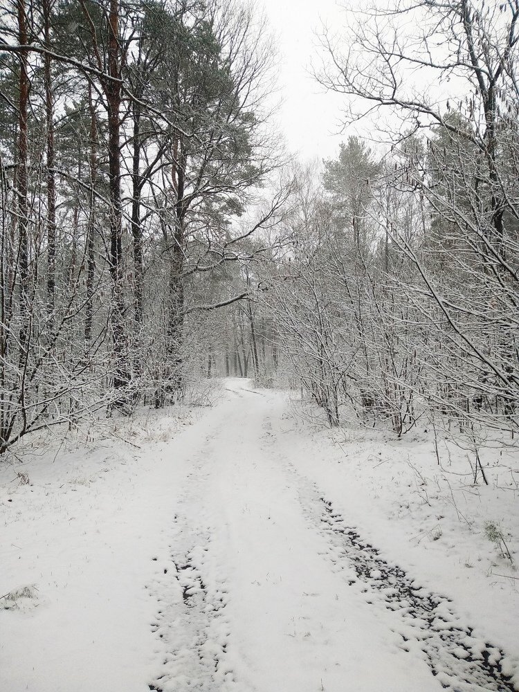 Photograph by Оксана