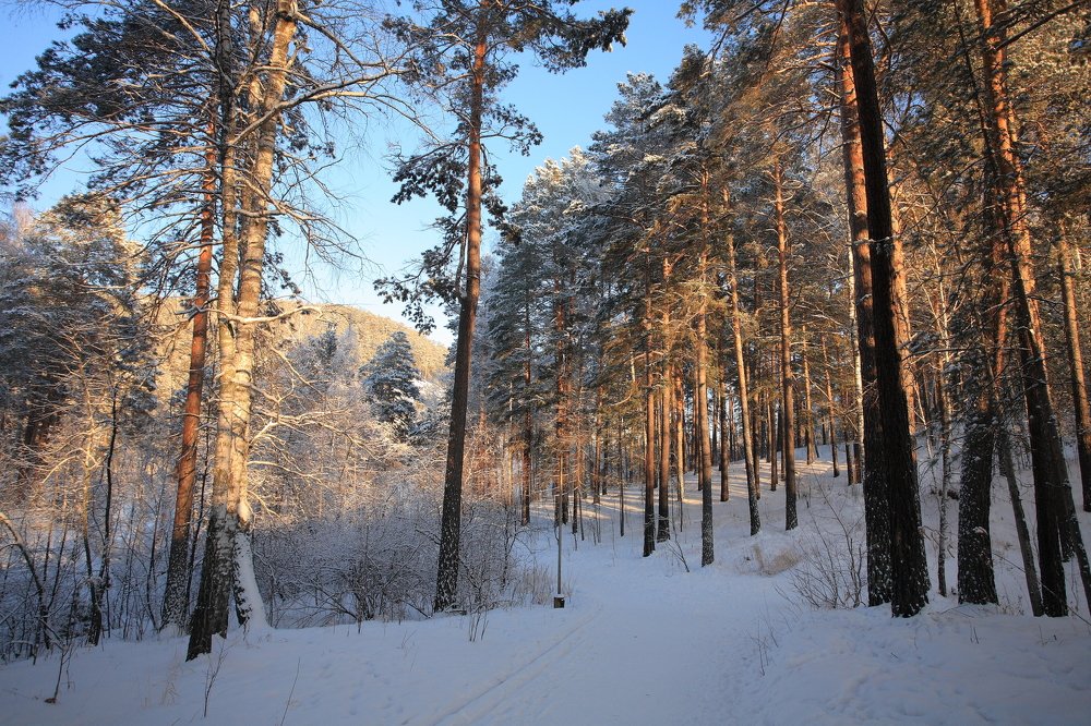 Photograph by Владилен Панченко