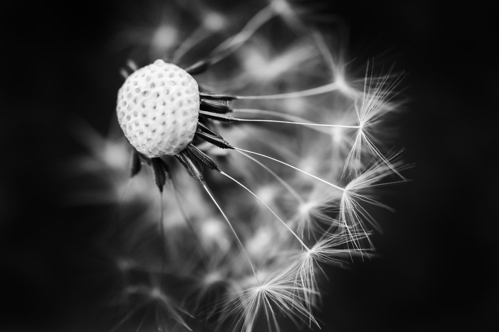 Photograph by Edina Muhari