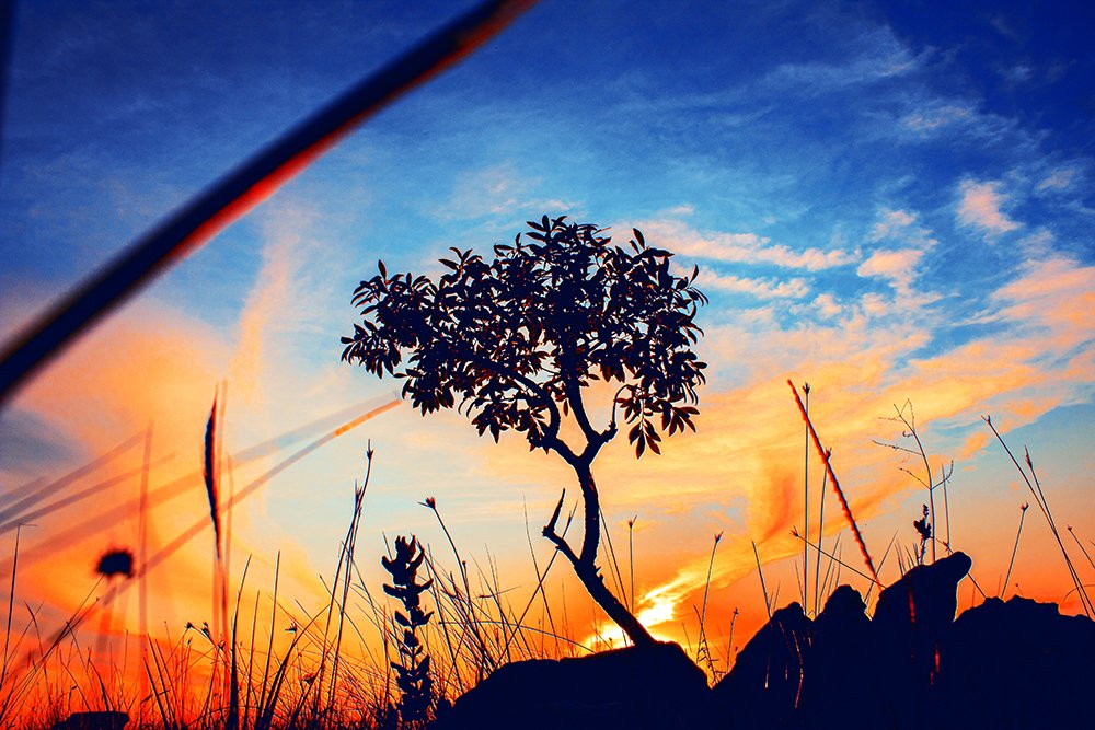 Photograph by Felipe Augusto