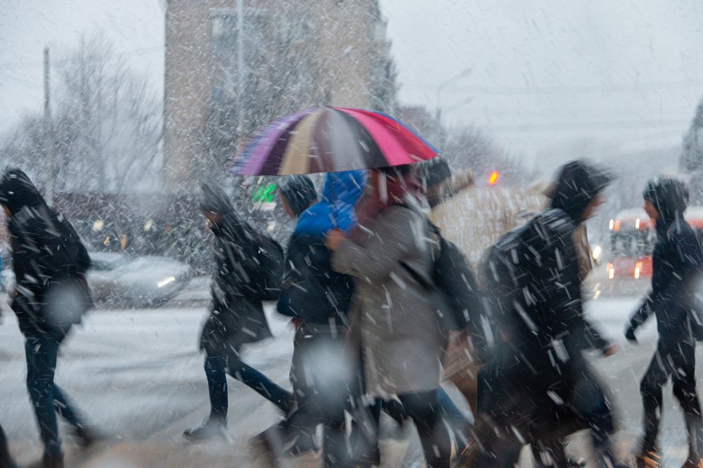 Photograph by Александр Пиленгас